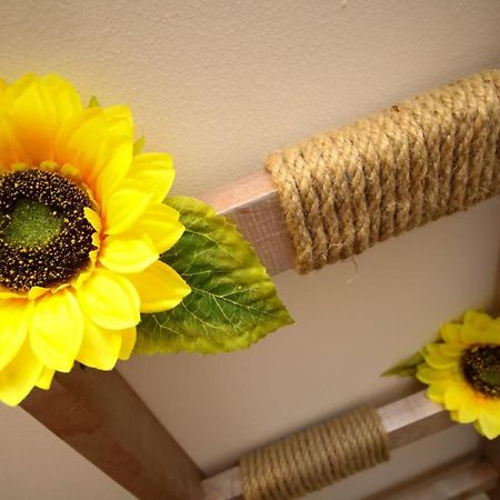 Sunrise Studio Timisoara Bagian luar foto